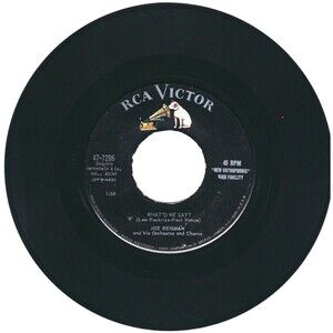 Joe Reisman 45 What'd He Say? / Love Song From Houseboat VG Easy, Theme '58